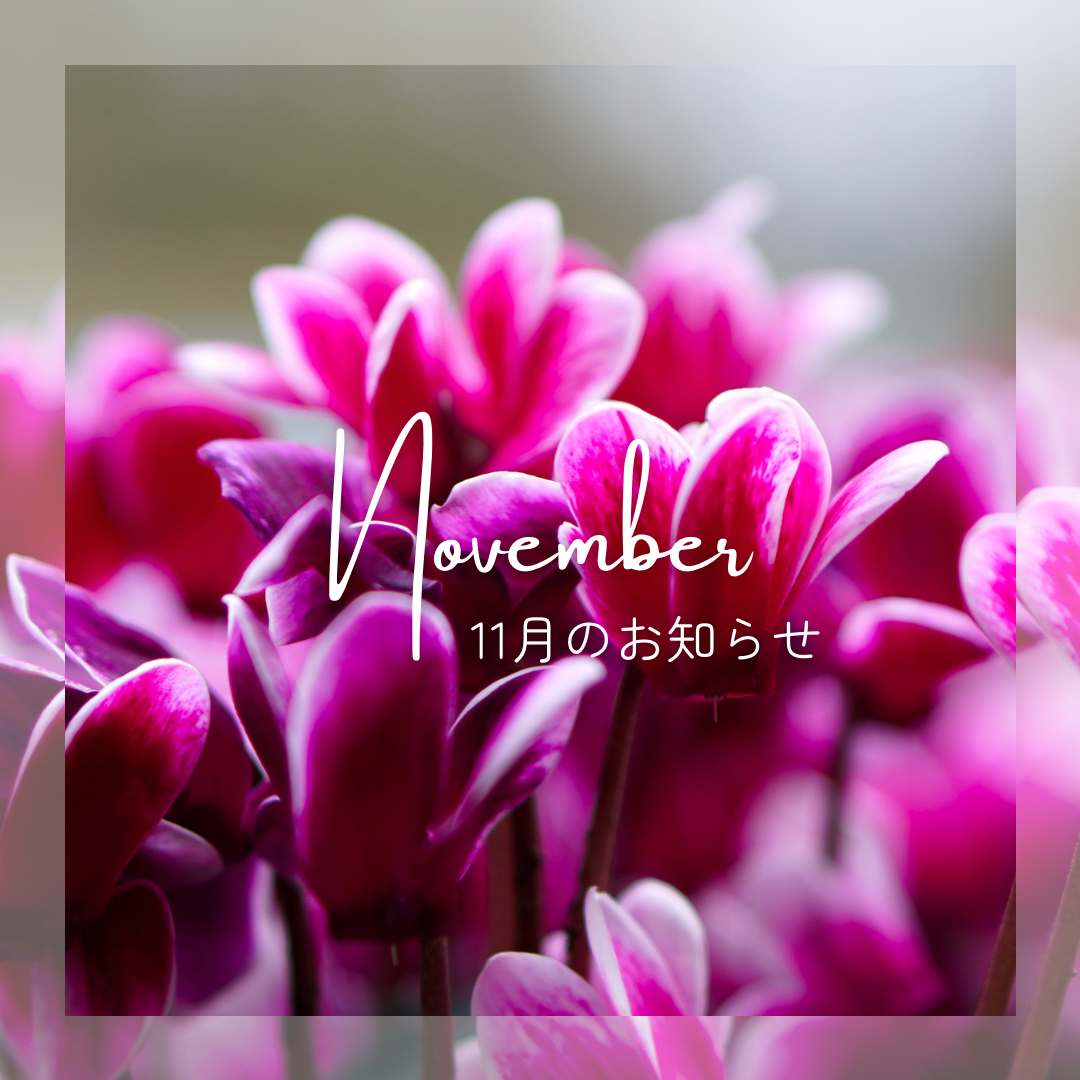 11月のご予約開始しました